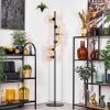 Koyoto floor lamp 31 cm Amber, clear, 6-light sources