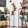 Koyoto floor lamp 31 cm gold, 6-light sources