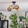 Ripoll ceiling light, globe light Amber, clear, Smoke-coloured, 5-light sources