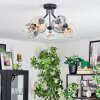 Ripoll ceiling light, globe light Amber, clear, Smoke-coloured, 5-light sources