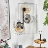 Koyoto globe light, wall light Amber, clear, Smoke-coloured, 3-light sources