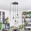 Ripoll hanging light, globe light, Cluster pendant lamp clear, 3-light sources