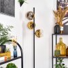 Koyoto floor lamp 31 cm gold, clear, 3-light sources