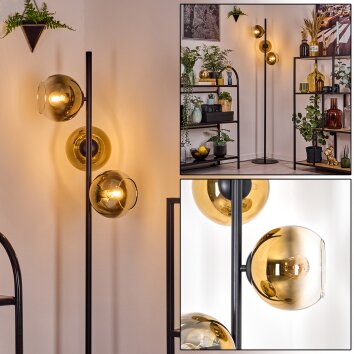 Koyoto floor lamp 31 cm gold, clear, 3-light sources