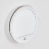 Qadir outdoor wall light, wall light LED white, 1-light source, Motion sensor