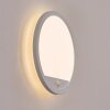 Qadir outdoor wall light, wall light LED white, 1-light source, Motion sensor