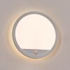 Qadir outdoor wall light, wall light LED white, 1-light source, Motion sensor