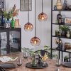 Ripoll hanging light, globe light, Cluster pendant lamp clear, coppery, 3-light sources