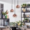 Ripoll hanging light, globe light, Cluster pendant lamp clear, coppery, 3-light sources