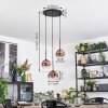 Ripoll hanging light, globe light, Cluster pendant lamp clear, coppery, 3-light sources