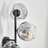 Ripoll globe light, wall light clear, Smoke-coloured, 3-light sources
