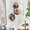 Ripoll globe light, wall light clear, coppery, 3-light sources