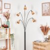 Lindberg floor lamp black, 5-light sources