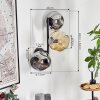 Ripoll globe light, wall light Amber, Smoke-coloured, 3-light sources