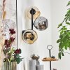 Ripoll globe light, wall light Amber, Smoke-coloured, 3-light sources