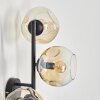Ripoll globe light, wall light Amber, clear, 3-light sources