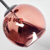 Koyoto ceiling light, globe light coppery, 7-light sources