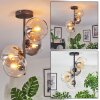 Koyoto ceiling light, globe light Amber, clear, Smoke-coloured, 4-light sources