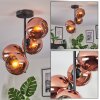 Koyoto ceiling light, globe light coppery, 4-light sources