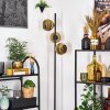 Koyoto floor lamp 31 cm gold, 3-light sources
