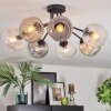 Ripoll ceiling light, globe light Amber, clear, Smoke-coloured, 7-light sources
