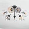 Ripoll ceiling light, globe light Amber, clear, Smoke-coloured, 7-light sources