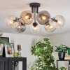 Ripoll ceiling light, globe light Amber, clear, Smoke-coloured, 7-light sources