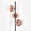 Koyoto floor lamp 31 cm clear, coppery, 3-light sources