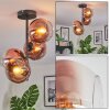 Koyoto ceiling light, globe light clear, coppery, 4-light sources