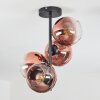 Koyoto ceiling light, globe light clear, coppery, 4-light sources