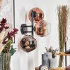 Ripoll globe light, wall light clear, coppery, 3-light sources