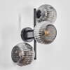 Ripoll globe light, wall light Smoke-coloured, 3-light sources