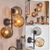 Ripoll globe light, wall light Amber, Smoke-coloured, 3-light sources