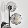Ripoll globe light, wall light clear, Smoke-coloured, 3-light sources