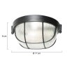 Steinhauer lights Lisanne ceiling light transparent, 1-light source