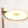 Steinhauer lights Turound floor lamp bronze, 2-light sources