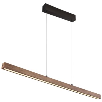 Globo lighting Olivus pendant light LED black, 1-light source