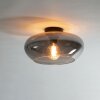 Iralo ceiling light anthracite, 1-light source