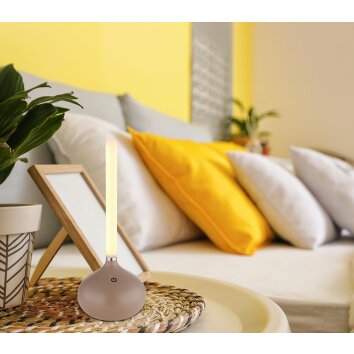 Globo lighting Turner table lamp LED champagne, 1-light source