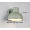 Trio lights ELBE wall light green, 1-light source