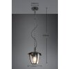 Trio lights VENTA pendant light black, 1-light source
