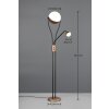 Trio lights Chris floor lamp LED brown, 2-light sources