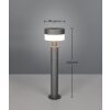 Trio lights MACKENZIE outdoor floor lamp LED anthracite, 1-light source