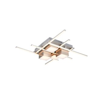 Trio lights Roger ceiling light LED matt nickel, 1-light source, Remote control