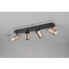 Trio lights Gillan ceiling spotlight brown, 4-light sources