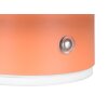 Reality lights Davey wall light LED orange, 1-light source