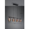 Reality lights Jason pendant light, 4-light sources