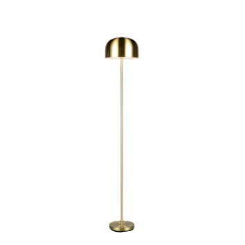 Reality lights Jeff floor lamp LED brass, 1-light source