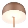 Reality lights Jeff floor lamp LED brown, 1-light source