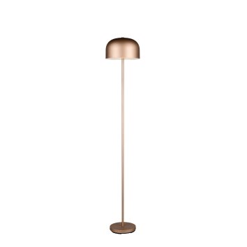Reality lights Jeff floor lamp LED brown, 1-light source